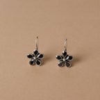 Black Onyx Hook Earrings