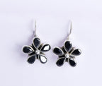 Black Onyx Hook Earrings